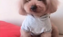 麻麻豆豆,探寻亲子互动的温馨时光